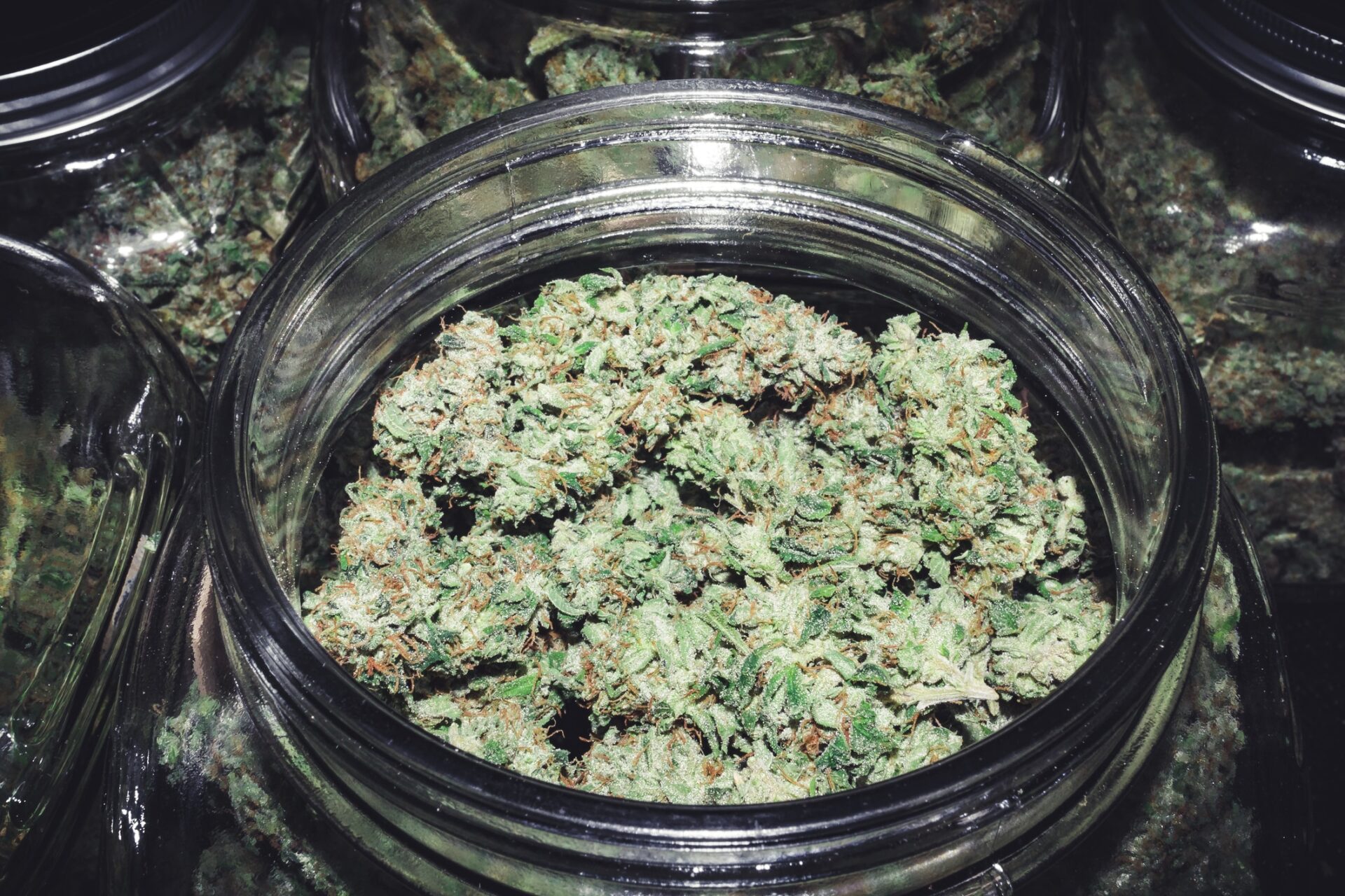 Bud inside a jar
